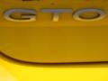 Yellow Jacket - GTO Coupe Photo No. 31