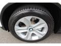 2009 BMW X6 xDrive35i Wheel and Tire Photo