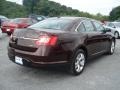 Cinnamon Red Metallic - Taurus SEL Photo No. 8