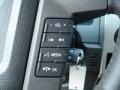 Steel Gray Controls Photo for 2012 Ford F150 #69369691