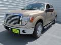 2012 Pale Adobe Metallic Ford F150 XLT SuperCrew  photo #6