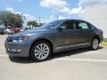 Platinum Gray Metallic - Passat 2.5L SEL Photo No. 3