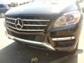Black - ML 350 4Matic Photo No. 5
