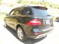 Black - ML 350 4Matic Photo No. 10