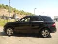 Black - ML 350 4Matic Photo No. 11