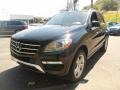 Black - ML 350 4Matic Photo No. 12