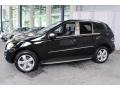Black - ML 350 4Matic Photo No. 3