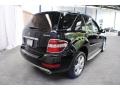 Black - ML 350 4Matic Photo No. 6