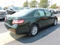 Spruce Mica - Camry XLE Photo No. 5