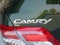 Spruce Mica - Camry XLE Photo No. 8
