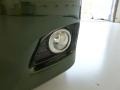 Spruce Mica - Camry XLE Photo No. 14