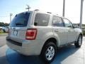 2008 Light Sage Metallic Ford Escape Limited  photo #5