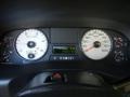 Tan Gauges Photo for 2006 Ford F350 Super Duty #69400648