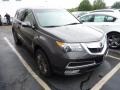 Grigio Metallic 2010 Acura MDX Advance