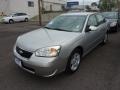 2007 Silverstone Metallic Chevrolet Malibu LT Sedan  photo #3