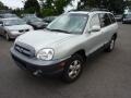 Pewter - Santa Fe GLS 4WD Photo No. 3