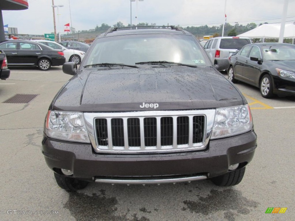 2004 Grand Cherokee Limited 4x4 - Deep Lava Red Metallic / Dark Slate Gray photo #8