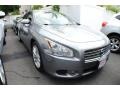 Precision Gray Metallic - Maxima 3.5 SV Photo No. 4