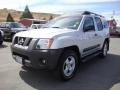 Silver Lightning - Xterra SE 4x4 Photo No. 3