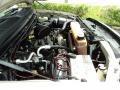 6.8 Liter SOHC 20-Valve Triton V10 2000 Ford F350 Super Duty XLT Crew Cab 4x4 Engine