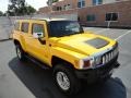 Yellow - H3  Photo No. 3