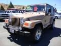 Desert Sand Pearl - Wrangler Sahara 4x4 Photo No. 3