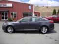 Platinum Graphite - Optima LX Photo No. 4
