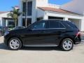 Obsidian Black Metallic - ML 350 4Matic Photo No. 2