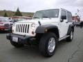 Stone White - Wrangler X 4x4 Photo No. 3