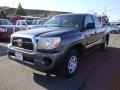 Magnetic Gray Metallic - Tacoma Access Cab Photo No. 3