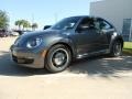 Platinum Gray Metallic - Beetle 2.5L Photo No. 3