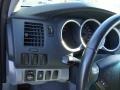 Magnetic Gray Metallic - Tacoma Access Cab Photo No. 10