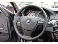Black Steering Wheel Photo for 2012 BMW 5 Series #69420829
