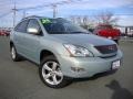 2004 Bamboo Pearl Lexus RX 330  photo #1