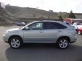 2004 Bamboo Pearl Lexus RX 330  photo #4