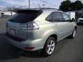 2004 Bamboo Pearl Lexus RX 330  photo #7