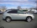 2004 Bamboo Pearl Lexus RX 330  photo #8