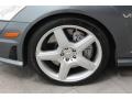 2007 Mercedes-Benz S 65 AMG Sedan Wheel and Tire Photo