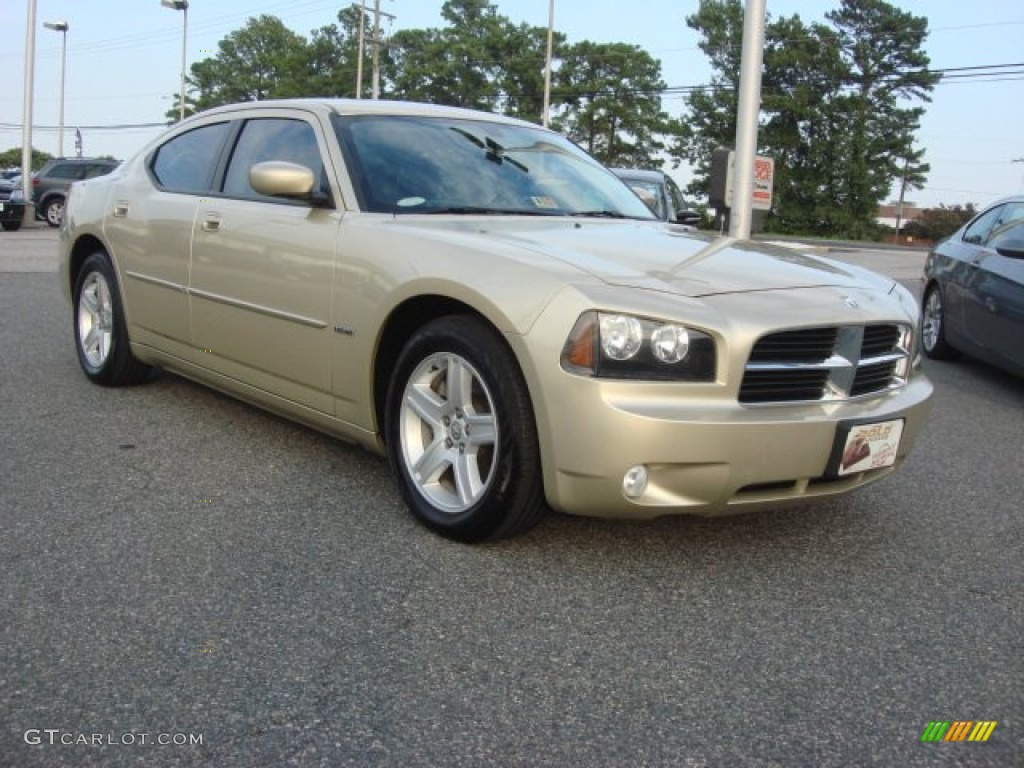 2010 Charger R/T - White Gold Pearl / Dark Slate Gray photo #7