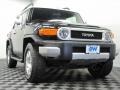 Black Diamond - FJ Cruiser 4WD Photo No. 2