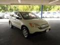Taffeta White - CR-V EX 4WD Photo No. 1