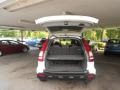 Taffeta White - CR-V EX 4WD Photo No. 8