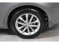 Platinum Graphite - G 37 x Sedan Photo No. 30