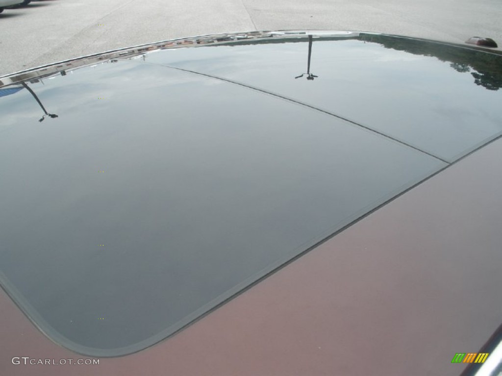 2009 MKS Sedan - Cinnamon Metallic / Light Camel photo #3