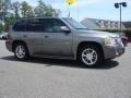 Steel Grey Metallic - Envoy Denali 4x4 Photo No. 2