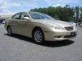 Mystic Gold Metallic - ES 300 Photo No. 1