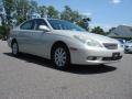 Millennium Silver Metallic - ES 330 Photo No. 1
