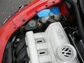 Salsa Red - New Beetle 2.5 Coupe Photo No. 44