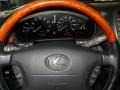 Mercury Metallic - LS 430 Photo No. 9