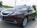 2010 Ionized Bronze Metallic Acura ZDX AWD Technology  photo #2